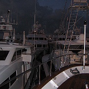 Picture 001